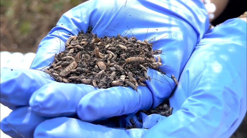 A new AI technique may aid violent crime forensics