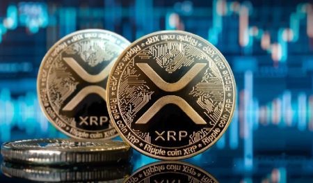 Digital Asset Manager Evernorth Holdings Emerges as Major XRP Whale: Full Details Revealed