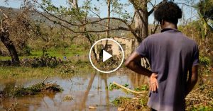 Flooding Persists in Jamaica’s Most Severely Affected Regions