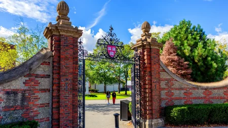 Conservative Harvard students expose fear of academic reprisal, social shunning over right-wing beliefs