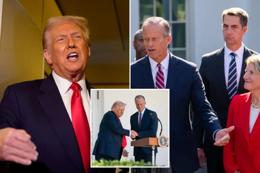 Trump demands Senate Republicans invoke ‘nuclear option’ to end ‘country destroying’ government shutdown