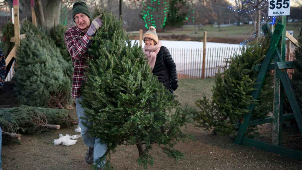 ‘Too early for Christmas’? Americans clash as stores push holiday tree sales