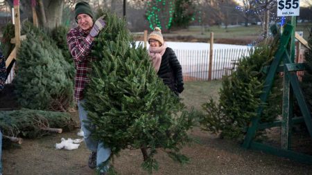 ‘Too early for Christmas’? Americans clash as stores push holiday tree sales