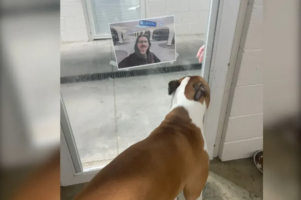 Man Checks on Dog at Boarding Facility, Not Prepared for Photo They Send