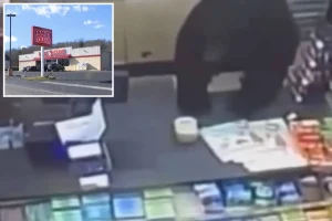 Black bear chases ‘screaming’ 11-year-old boy into dollar store before leaping over counter: video