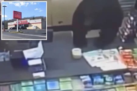 Black bear chases ‘screaming’ 11-year-old boy into dollar store before leaping over counter: video