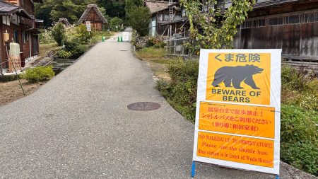 State Department warns Americans in Japan as deadly bear attacks kill 13 people since April: ‘Be diligent’