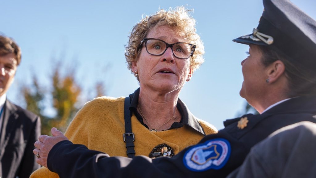 House Dem reveals why she hijacked Speaker Johnson’s presser with viral outburst