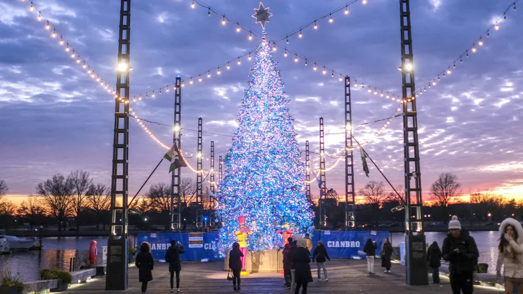 Iconic DC landmark unveils first Christmas tree as part of push to revive holiday spirit