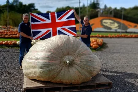 Twin brothers grow world’s heaviest pumpkin of all time at 2,819 pounds