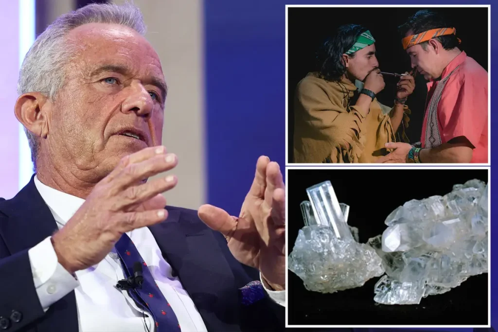 RFK Jr. allegedly smokes powerful psychedelic that gives people ‘near-death’ experiences: tell-all