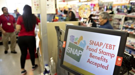 DOJ accuses federal judge of making ‘mockery of separation of powers’ in SNAP appeal
