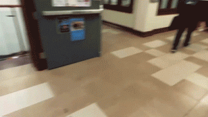 Conservative Gettysburg College group catches student on video tearing down promotional flyers