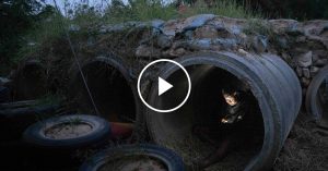 Thailand-Cambodia Border Conflict Sparks Evacuations