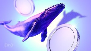 Top Cryptocurrencies Attracting Whale Investment Amid Early December Market Downturn
