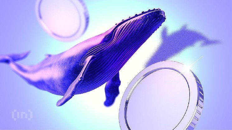 Top Cryptocurrencies Attracting Whale Investment Amid Early December Market Downturn