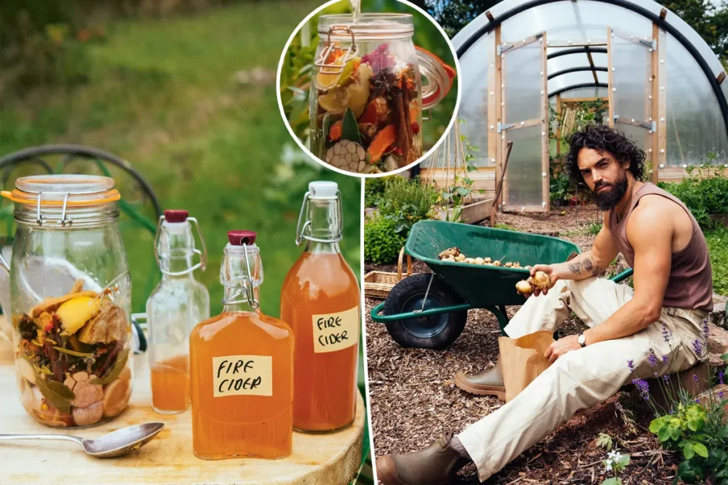 Celebrity chef shares ‘age-old’ fire cider recipe that ‘gives you a protective shield’ of immunity — especially in winter