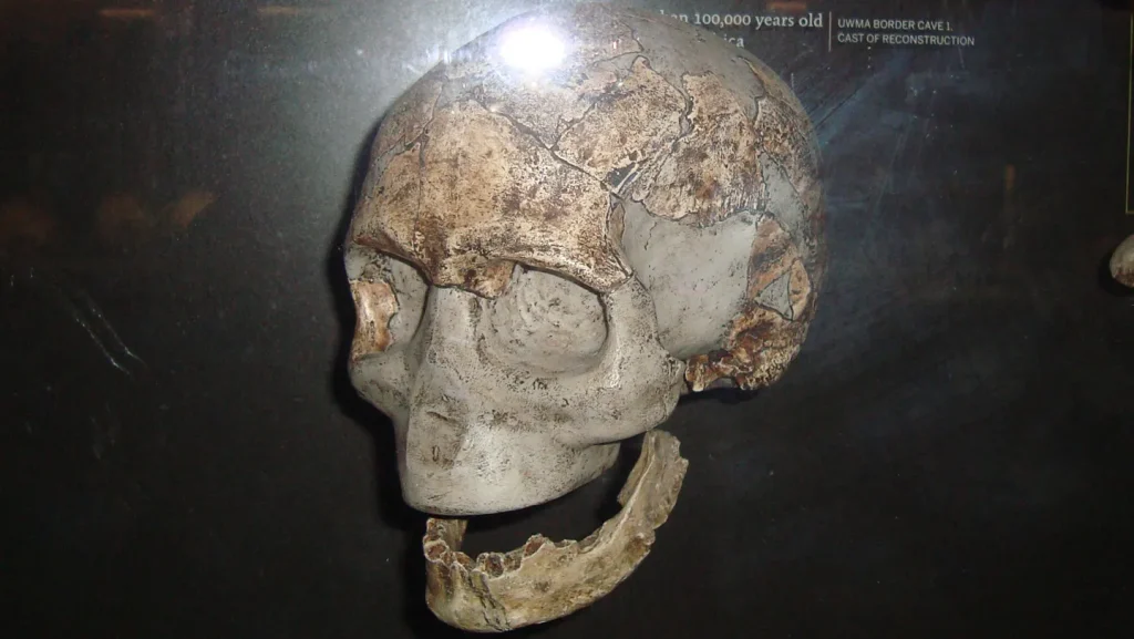 Ancient southern Africans took genetic evolution in a new direction