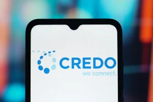 Credo, The Maker Of Purple Cables That Connect Data Centers, Mints Two New Billionaires