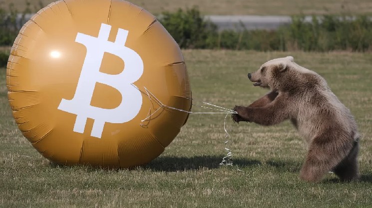 Veteran Expert: The Bear Market in Cryptocurrencies May Have Ended and Bottomed Out