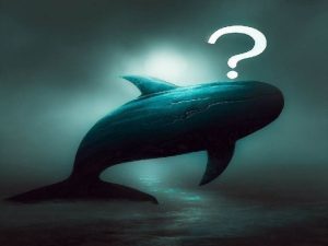 A Big Whale Acquires $75 Million in 8 Different Altcoins