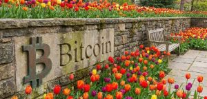 The End of the Tulip Mania-Bitcoin Debate: Bloomberg Analyst’s Definitive Take