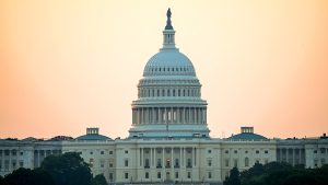 Senate pressure mounts as Minnesota fraud scandal continues to unfold