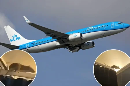 Massive rat stowaway caught on video as flight of 250 passengers left stranded overnight