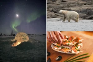 Sorry, not sorry! Canada goes luxury with new lodges and artful adventures