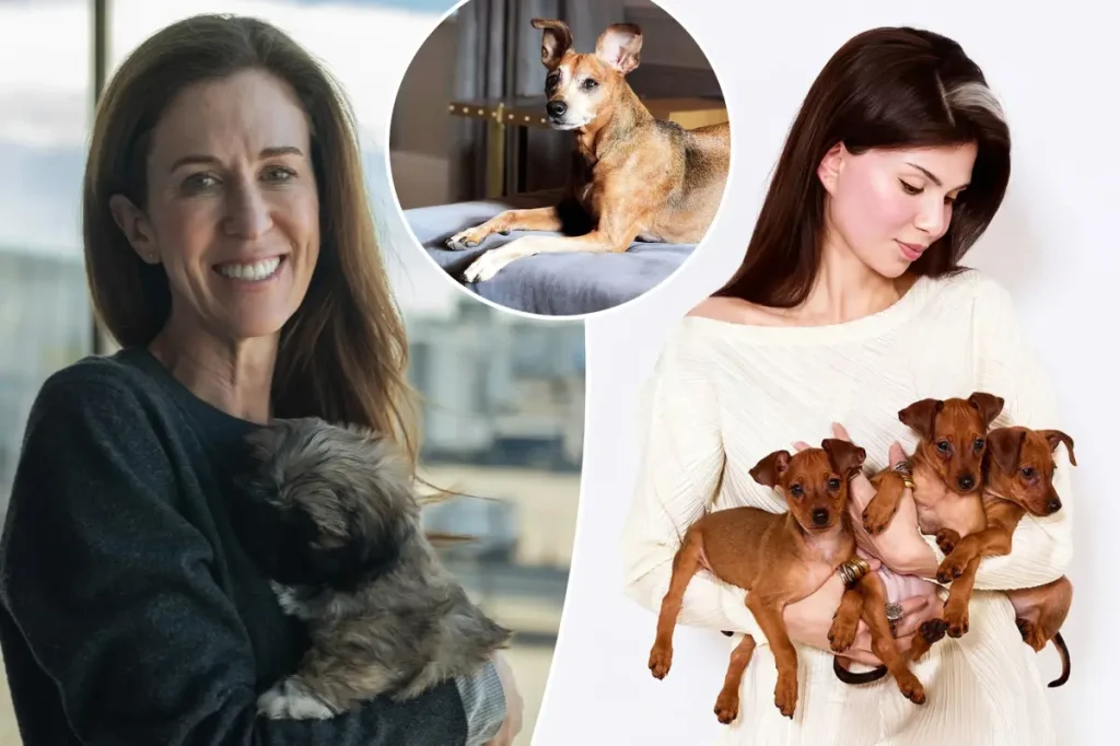 Exclusive | I spent $50K cloning my dead dog — here’s what it’s like having a duplicated pup