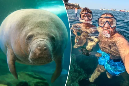 I’ve been lying to my son for 24 years — the deception has taken over my whole life