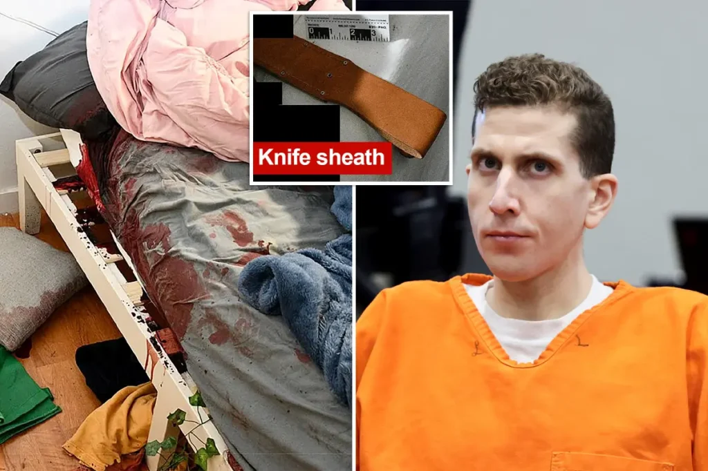 Idaho police reveal reason they ‘temporarily removed’ grisly Bryan Kohberger murder scene pics