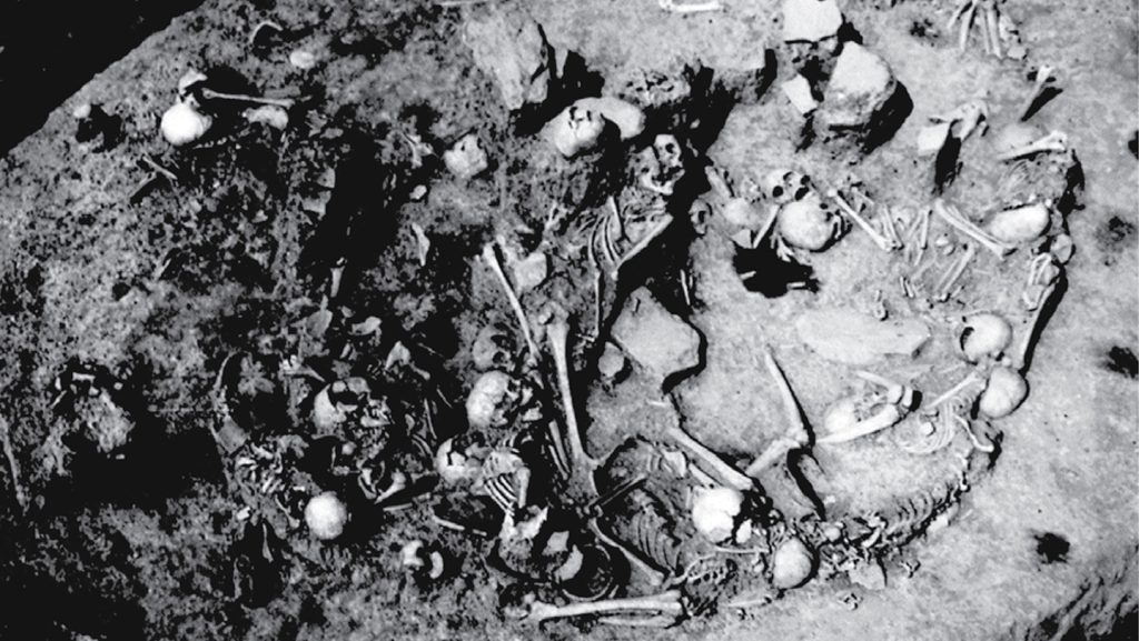 Iron Age mass grave may hold unusual victims: mostly women and children