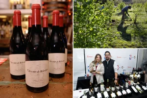 Another California wine giant shuts site and axes staff as chaos rips across Napa Valley