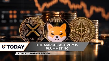 Crypto Market Crash: XRP Deserted by Bulls, Ethereum Loses $200M, Shiba Inu Still Alive?