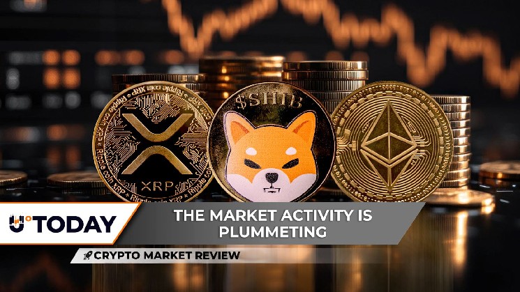 Crypto Market Crash: XRP Deserted by Bulls, Ethereum Loses $200M, Shiba Inu Still Alive?