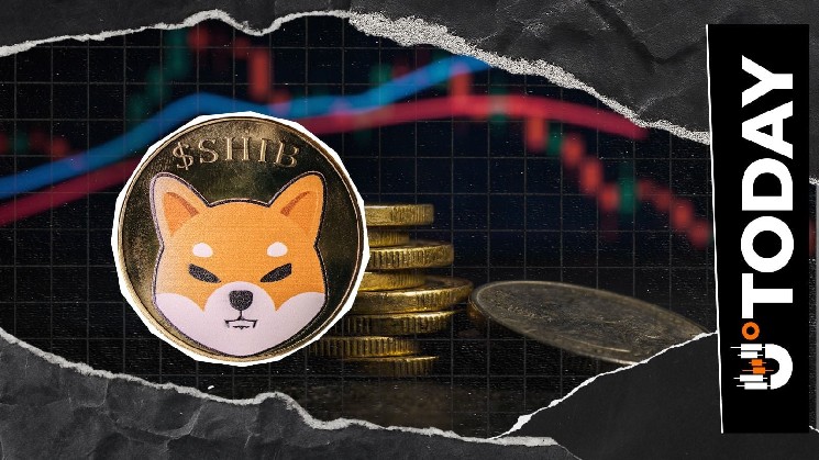 Shiba Inu Open Interest Falls 5% Amid SHIB Price Rally