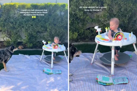 Mom Captures Hysterical Standoff Between Dog, 5-Month-Old Baby Over Ball