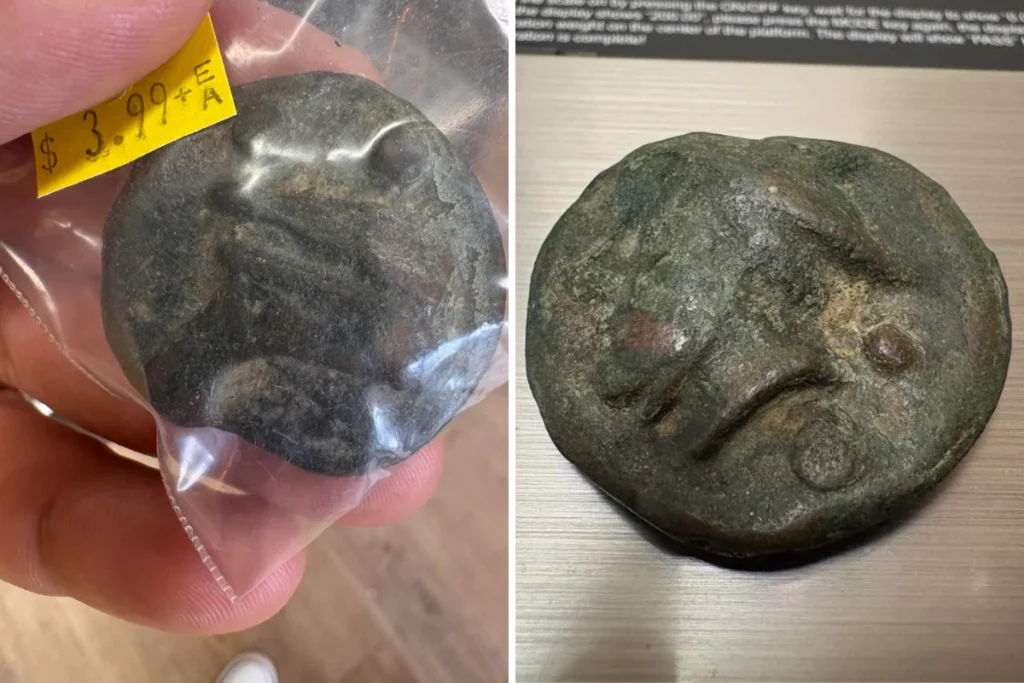 Man Pays $3.99 for Thrift Store Item—Expert Reveals It’s 2,200 Years Old