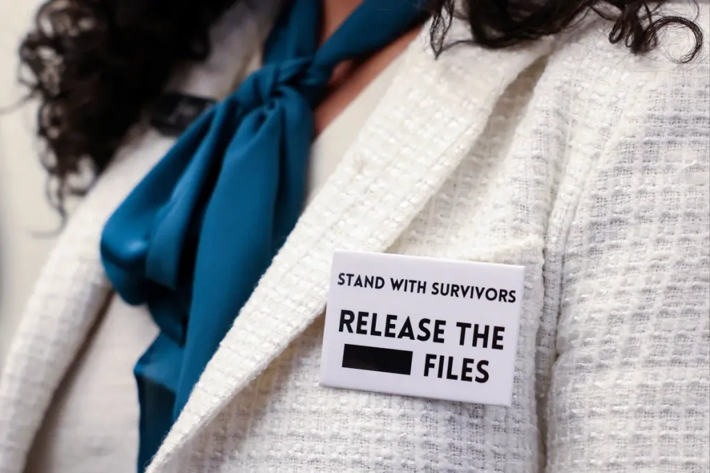 Democratic Women’s Caucus reps wear all white attire, Epstein-related pins to State of the Union 2026 address