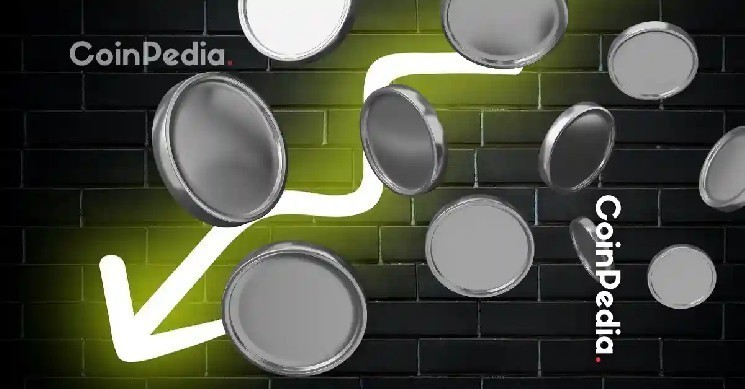 Altcoin Rally Sparks: Does March 1 Mark the Beginning?