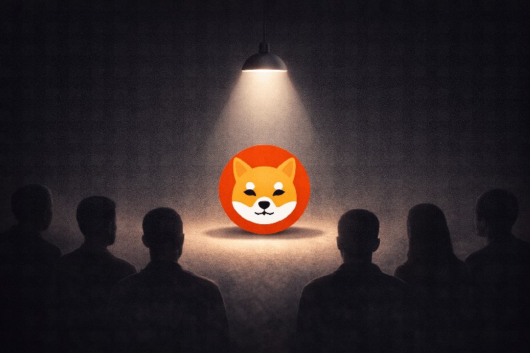 Shytoshi Kusama Promises Shiba Inu Clarity