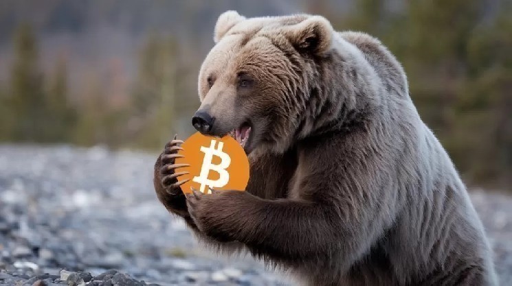 Crypto Markets Signal Emerging Bear Market Exit