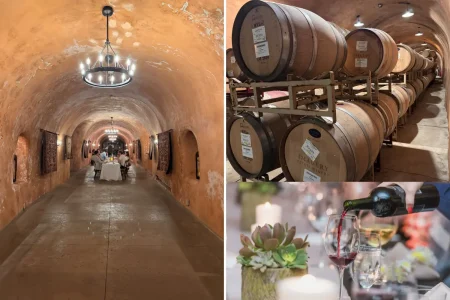 What crisis? Napa Valley finds unique way to fight back as wineries wither