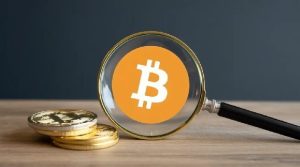 Year-by-Year Bitcoin Forecast: Expert Predicts Prices Over Next 5 Years