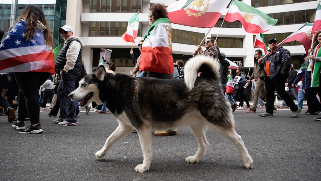 With dogs, dance and uncovered hair, Iranians defy ‘unholy alliance’ of socialists, radicals: ‘Hypocrites!’