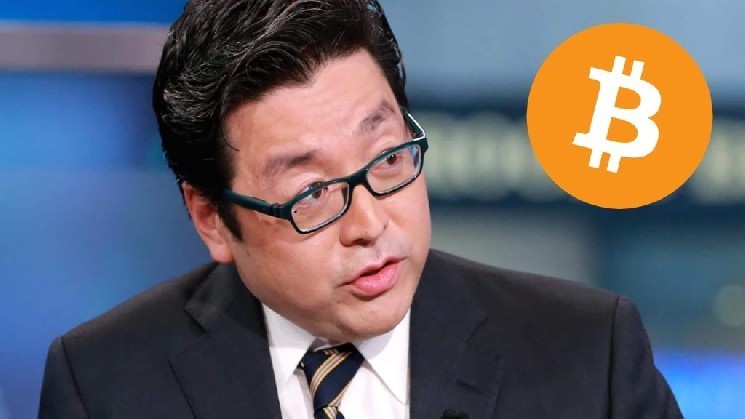 Tom Lee Predicts Market Bottoming In March