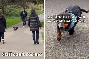Dachshund’s Reaction to Seeing Owner After Losing Her in Crowd Melts Hearts