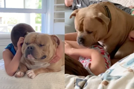 Mom Ignores Warnings Bully Dog Will Turn on Kids One Day—Then Comes Reality