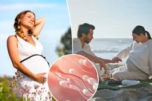 New sperm discovery finds why it may be easier to get pregnant in the summer